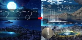 Research: Simple chemical process that may have led to the origin of life on Earth —