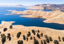 New teleconnection for early and accurate precipitation prediction — (research)