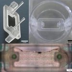 Novel microplate 3D bioprinting platform for muscle & tendon tissue engineering — (Study)