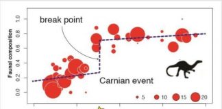 Scientists discover a new way to find mass extinctions — (research)