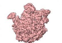 Research: Electron microscopy images provide important insights into ribosome assembly —
