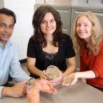 Lentils significantly reduce blood glucose levels — (Study)