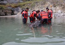 Research: Recordings provide new insight into when and where elusive whales click, buzz and call —