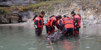 Research: Recordings provide new insight into when and where elusive whales click, buzz and call —