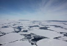 New research review provides insights into the continent’s response to climate warming — (research)