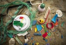 Research: Who is to blame for marine litter? Public attitudes to growing global crisis —