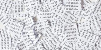 Research: Scientists discover yeast that randomly translates DNA two different ways —