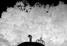 Research: The crab spider spins out tens of fine silk fibers for its aerial dispersal —