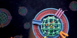 Study: Camouflaged nanoparticles used to deliver killer protein to cancer — (Details)