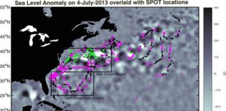 Research: Great white sharks dive deep into warm-water whirlpools in the Atlantic —