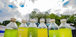 Tech: Large outdoor study shows biodiversity improves stability of algal biofuel systems — (Report)
