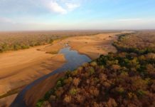 Research: Bolder targets needed to protect nature for people’s sake —