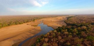 Research: Bolder targets needed to protect nature for people’s sake —