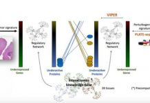 Tech: Targeting the engine room of the cancer cell — (Report)