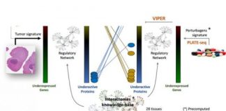 Tech: Targeting the engine room of the cancer cell — (Report)