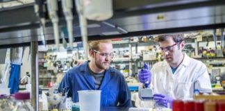 Research: Breakthrough discovery could greatly accelerate the pace of science —