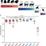 Study: Factor important for ZIKA Virus host species restriction — (Details)