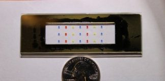 Tech: Most protein info ever captured from a single cell thanks to new ‘nanoPOTS’ technology — (Report)