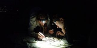 Research: Artificial lighting at night could be a reason for declining insect populations —