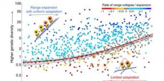 Research: Is the sky the limit? On the expansion threshold of a species’ range —