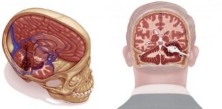 Study: A medical analysis of his injuries and neurosurgical care — (Details)