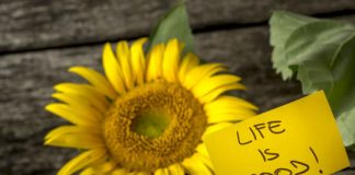 Offbeat: Around the world, people have surprisingly modest notions of the ‘ideal’ life —