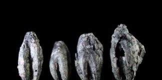 Research: Swedes have been brewing beer since the Iron Age, new evidence confirms —