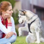 Study: Dogs understand what’s written all over your face — (Details)