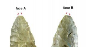 Research: Stone tools from ancient mummy reveal how Copper Age mountain people lived —