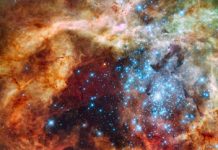 Tech: Old star clusters could have been the birthplace of supermassive stars — (Report)