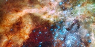 Tech: Old star clusters could have been the birthplace of supermassive stars — (Report)