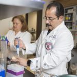 Study: Reversing way potassium channels work from bacteria to human — (Details)