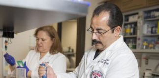 Study: Reversing way potassium channels work from bacteria to human — (Details)