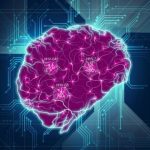 Study: More evidence for controversial theory that herpesviruses play role in Alzheimer’s disease — (Details)