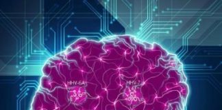 Study: More evidence for controversial theory that herpesviruses play role in Alzheimer’s disease — (Details)