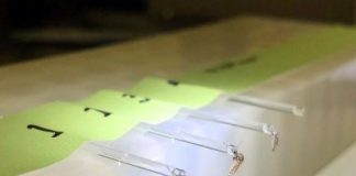 Study: California Aedes mosquitoes capable of spreading Zika — (Details)