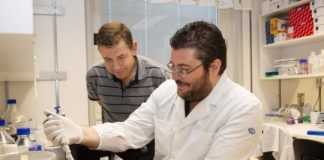 Study: A mechanism behind choosing alcohol over healthy rewards is found — (Details)