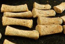 Research: First ancient syphilis genomes decoded —