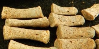 Research: First ancient syphilis genomes decoded —