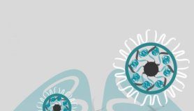 Study: Gold nanoparticles carried Cas9 enzyme into brain, editing receptor and lessening burying behavior — (Details)