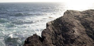 Research: Why life on Earth first got big —