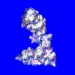 Research reveals atomic structure of tropoelastin, showing what goes wrong in some diseases — (Details)