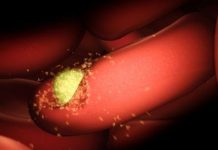 Research: First malaria-human contact mapped with Nobel Prize-winning technology —