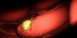 Research: First malaria-human contact mapped with Nobel Prize-winning technology —