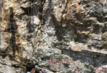 Research: What caused the mass extinction of Earth’s first animals? Unravelling mystery of the Ediacaran-Cambrian transition —