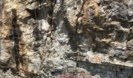 Research: What caused the mass extinction of Earth’s first animals? Unravelling mystery of the Ediacaran-Cambrian transition —