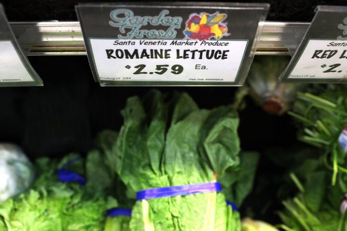 Contaminated lettuce kills five, downs 200 in US