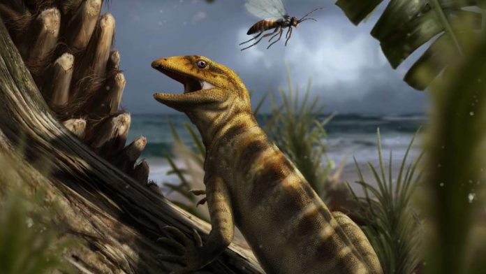 Study: 240 million-year-old 'mother of all lizards' found