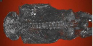 Study: Ancient Egyptian bird mummy turns out to be human Study: Ancient Egyptian bird mummy turns out to be human