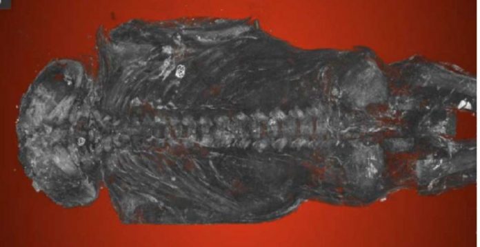 Study: Ancient Egyptian bird mummy turns out to be human